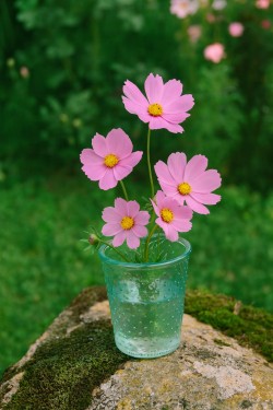 Jarrón para flores marrón